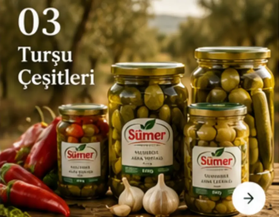 Turşu çeşitleri